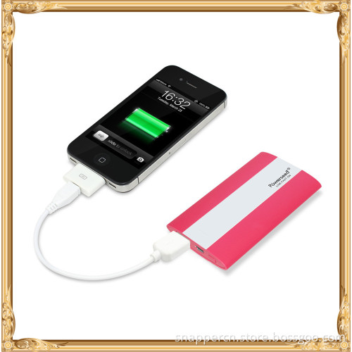 Polymer Batteries power bank with custom logo